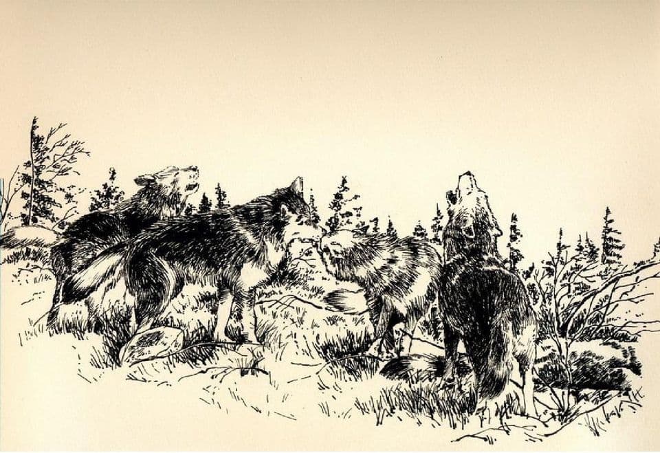 Thế Giới Truyện Tranh – comic art ink